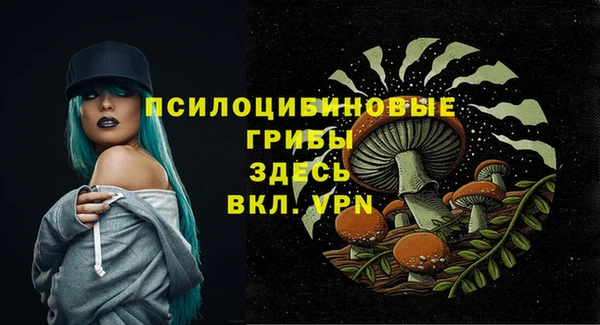 ГАЛЛЮЦИНОГЕННЫЕ ГРИБЫ Алексеевка